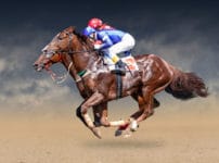 サラブレッドが軍馬になれない理由に関する雑学