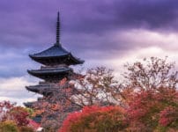 日本一番高い木造建築は、京都・東寺の「五重塔」という雑学