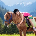 ポニーは小さいとは限らないという雑学