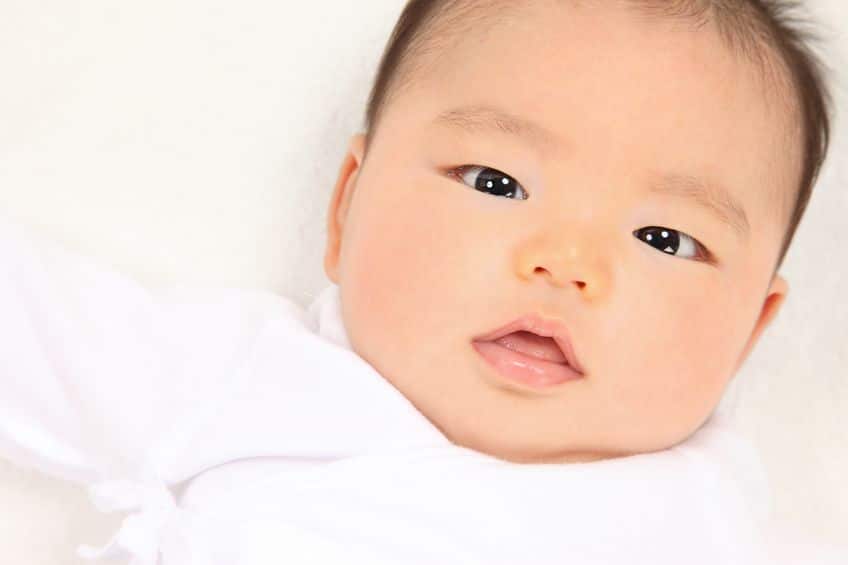 政治に疎かった徳川家斉が励んだ仕事は…子作り!?というトリビア