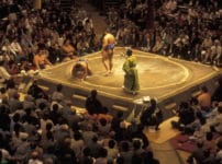 力士は「どすこい」と言うのか？という雑学