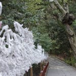 おみくじは神社で結ぶ必要がある？という雑学