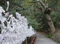 おみくじは神社で結ぶ必要がある？という雑学