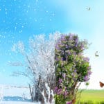 世界の最高・最低気温と日本の最高・最低気温に関する雑学