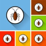ゴキブリが飛ぶのはどんなとき？という雑学