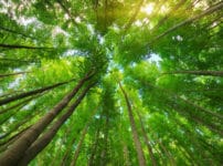 "凪のお暇"の名言・格言