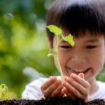 植物にも「血液型」があるという雑学