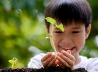植物にも「血液型」があるという雑学