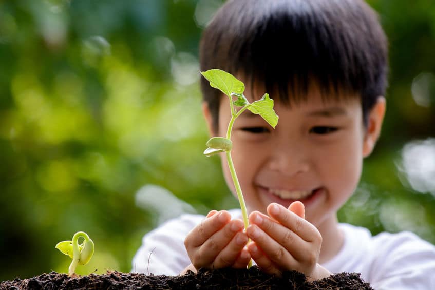 植物にも「血液型」があるという雑学