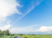 "僕等がいた"の名言・格言