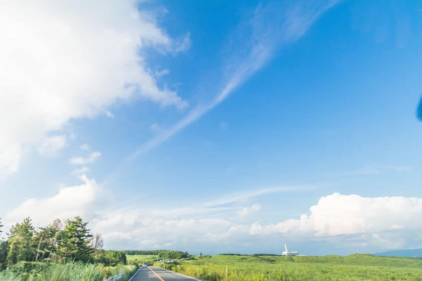 "僕等がいた"の名言・格言