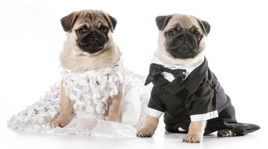 結婚できない男の名言・格言