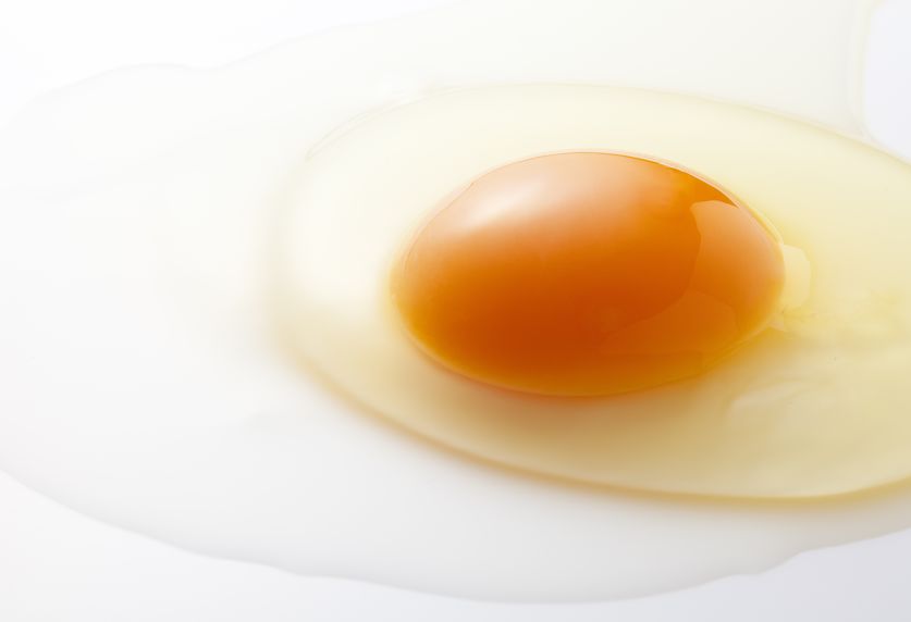 卵を長持ちさせる方法は"生卵のまま"が正解。卵ポケットは使うべき?というトリビアまとめ