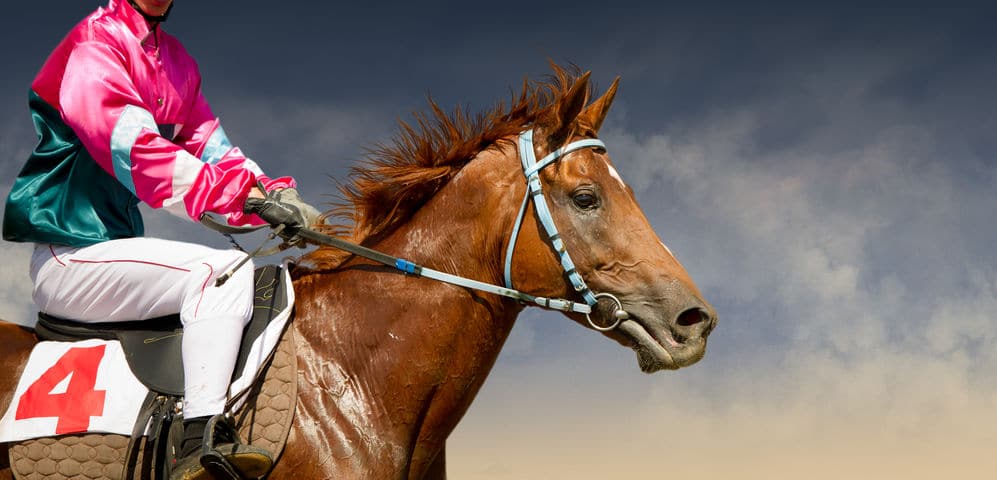 世界各地の競馬文化に関する雑学