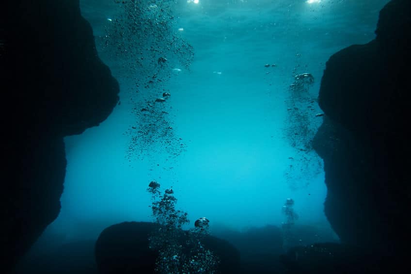 すごい進化。深海魚が水圧に耐えられる理由についてのトリビアまとめ