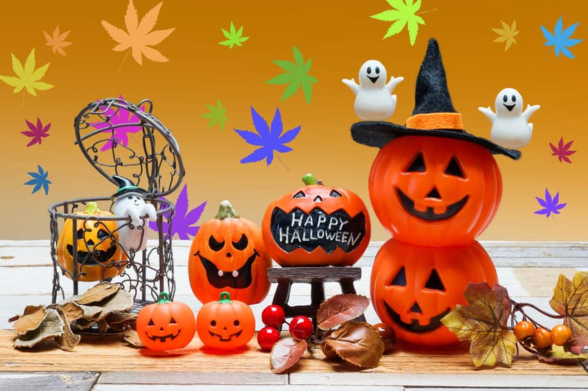 お月見どろぼうは日本のハロウィンという雑学