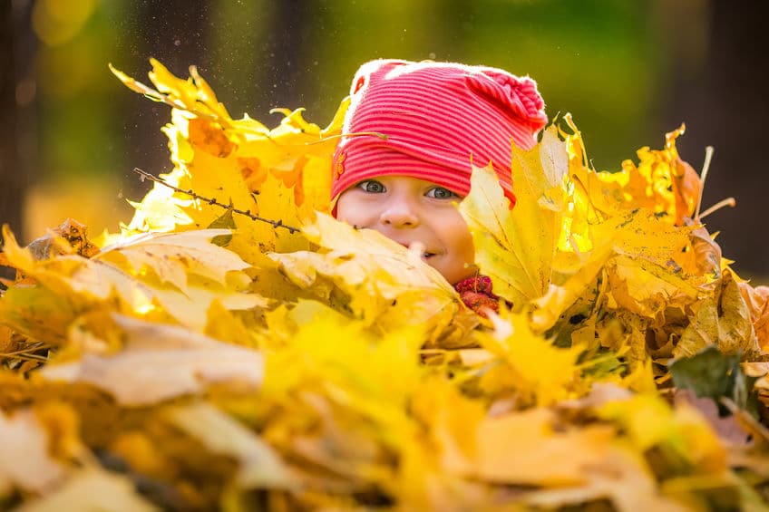 紅葉狩りに関する雑学まとめ
