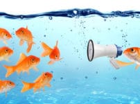 金魚の雑学まとめ