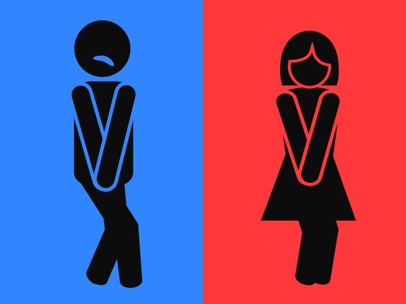 「本屋でトイレ」は男女共通。その原因についてのトリビア