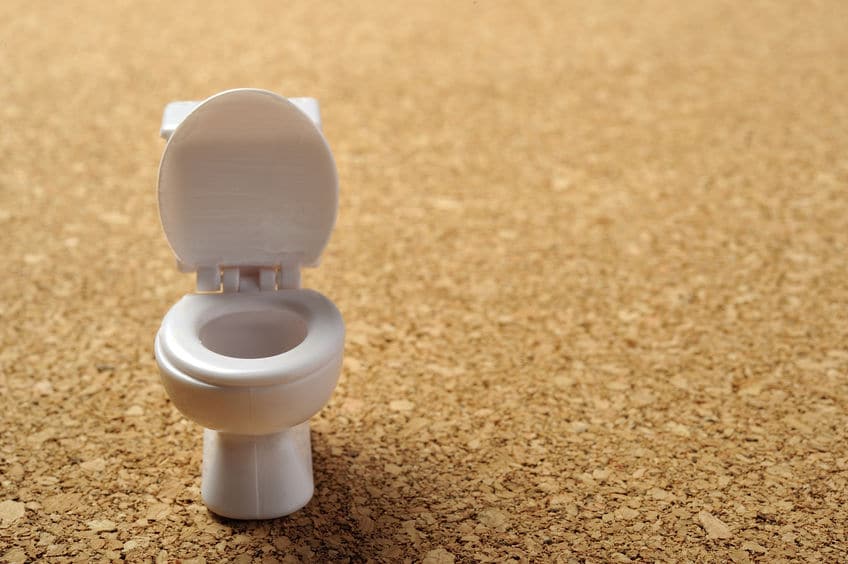 武田信玄は水洗トイレを愛用していたという雑学