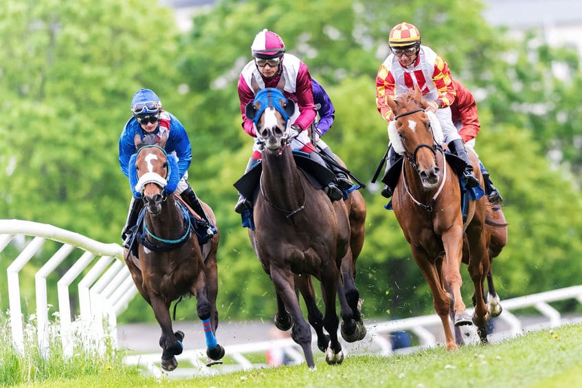 変わった名前の競走馬に関する雑学