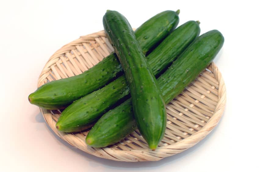 かっぱはなぜキュウリが好物なのか?というトリビア