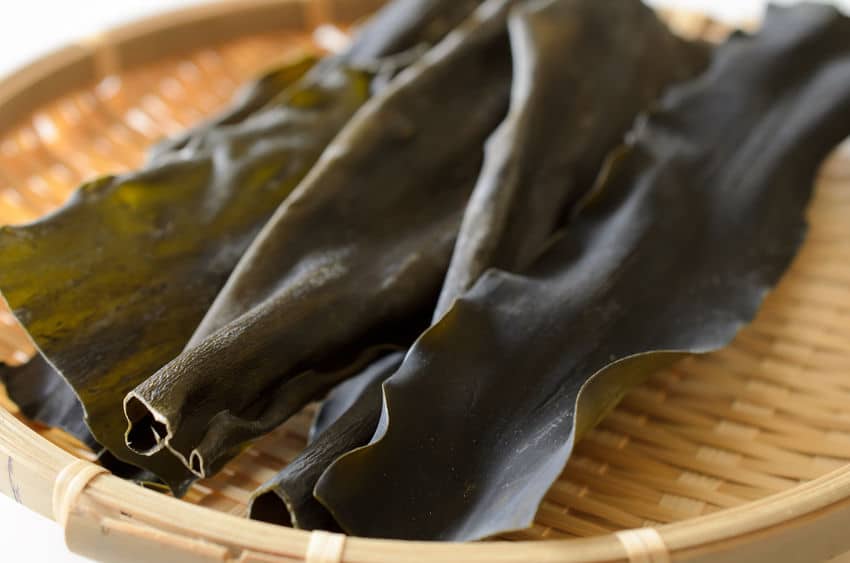 昆布のダシが海で出ない理由に関する雑学