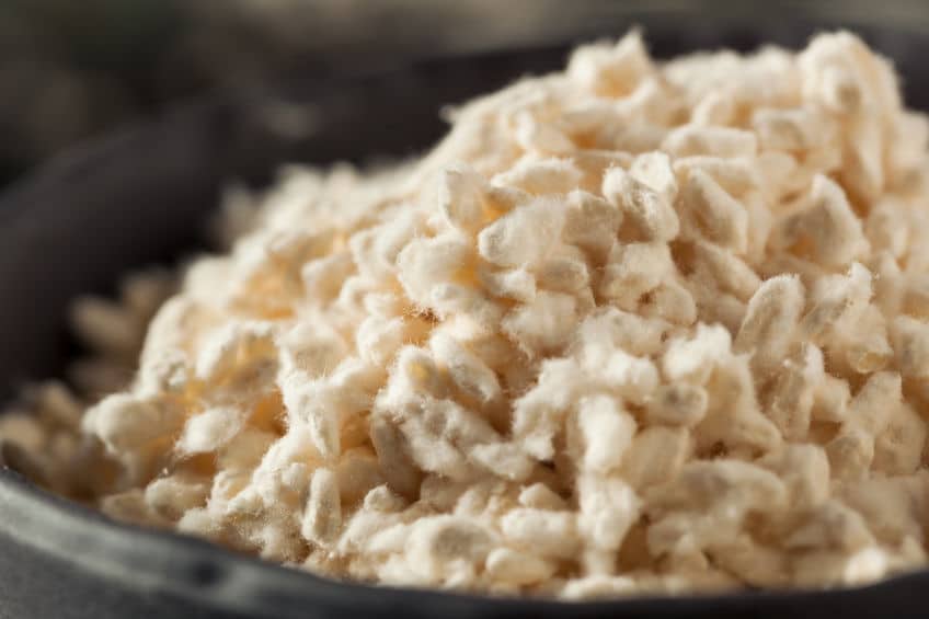日本の国菌は「麹菌」についてのトリビア