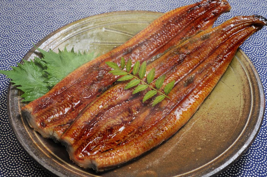 夏バテ“予防”にはウナギが効果的であるという雑学