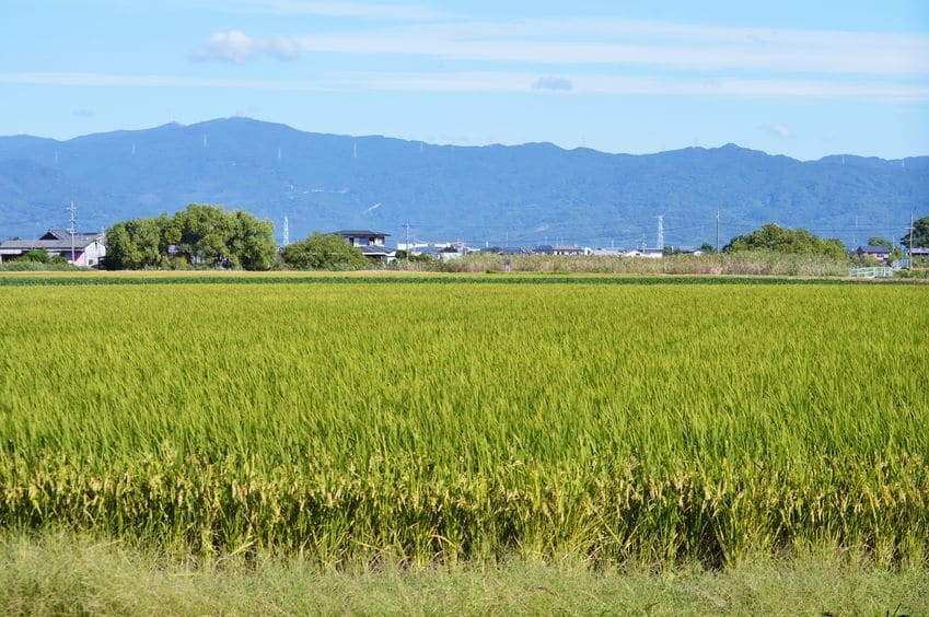「村八分」の雑学まとめ