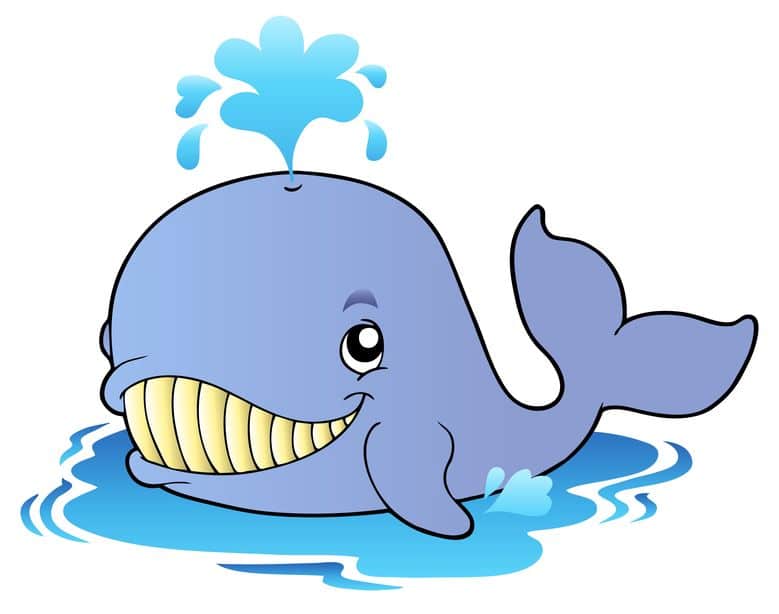 クジラの潮の吹き方はクジラの種類によって違うという雑学