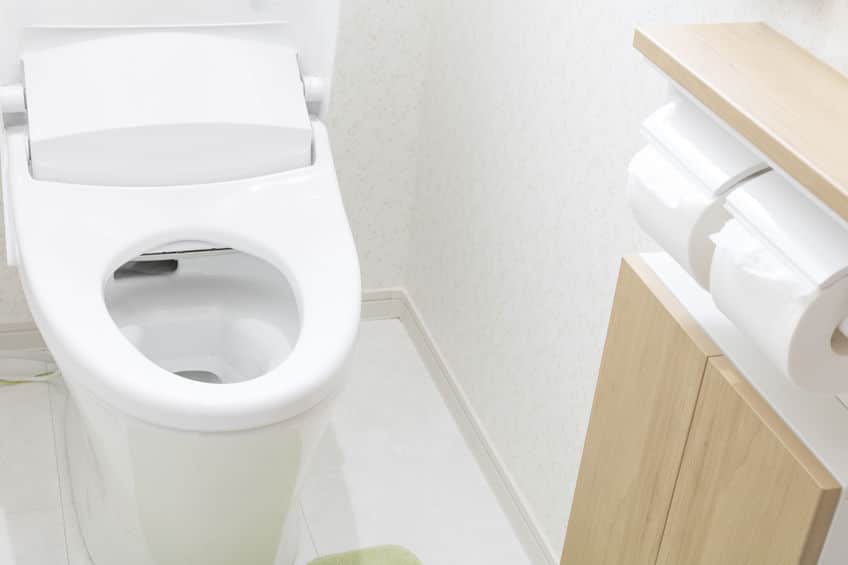 信玄の水洗トイレにまつわる雑学まとめ